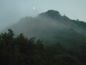 Paesaggio boschivo con foschia alla sera (2005)