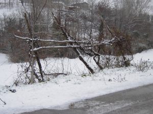 Paesaggio agricolo invernale a Camponello, una località del comune di Fiastra