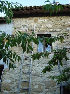 Porzione di antico edificio rurale agricolo