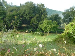 Vista dal nucleo più antico di Camponello in direzione della collina a sud