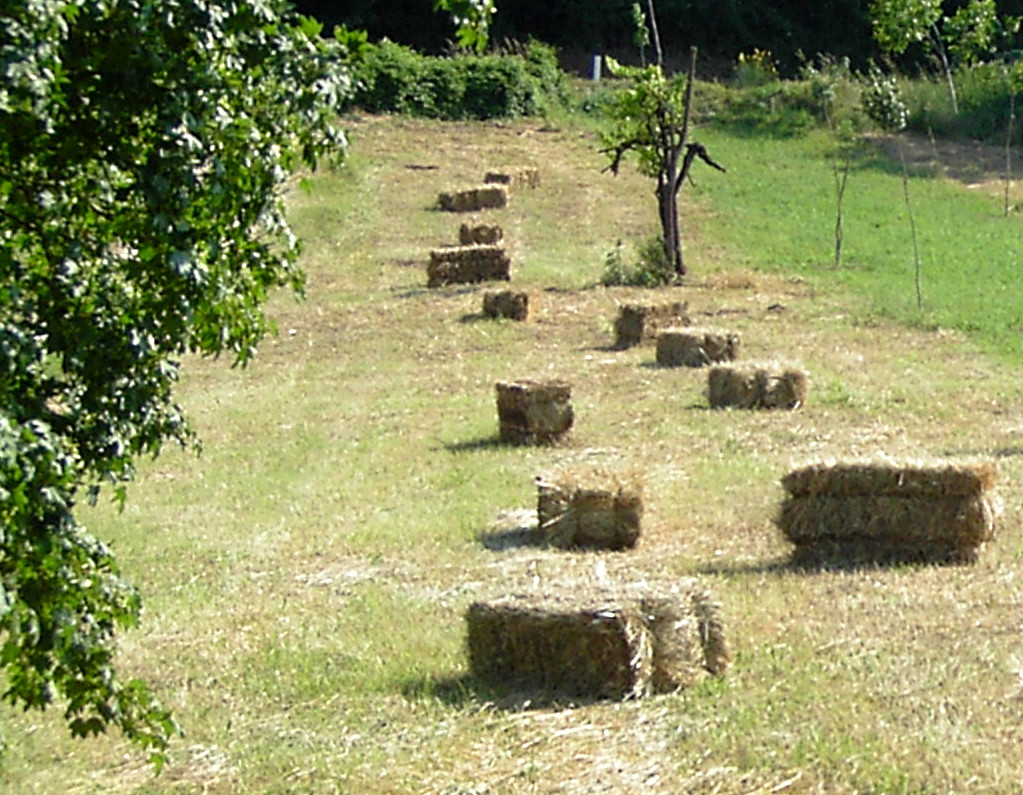 Balle di paglia rettangolari a Camponello