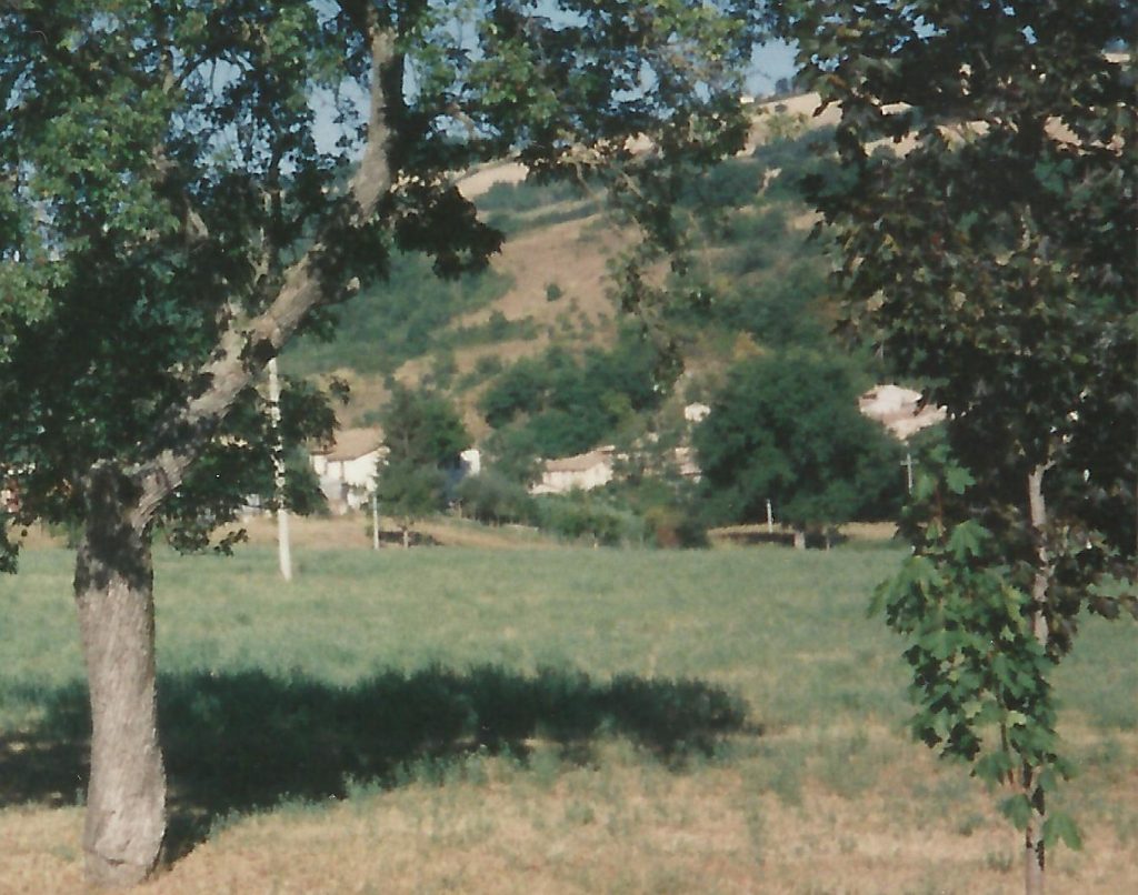 Sguardo sull'ansa fluviale di Camponello (1987)