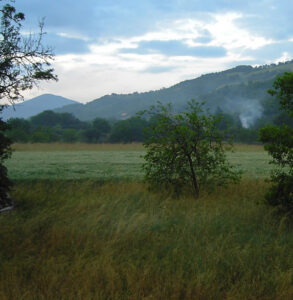 La vegetazione sviluppatasi al margine dell'avvalamento (foto del maggio 2011) aveva ricreato l'antico ambiente del Saltus (Camponello era anche denominata catastalmente come "Pian di Salto"). Il Salto è quell'ambiente a margine del bosco dove scendendo verso una sponda il bosco diviene pascolo