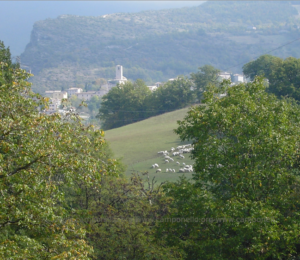 Camponello - Vista verso San Maroto #FiastraRurale