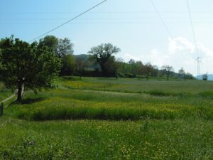 Foto di Camponello nel 2008